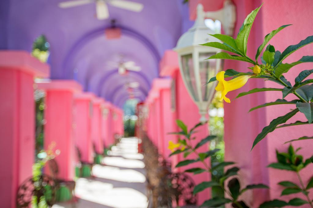 Chateau De Olliere Puli Ngoại thất bức ảnh