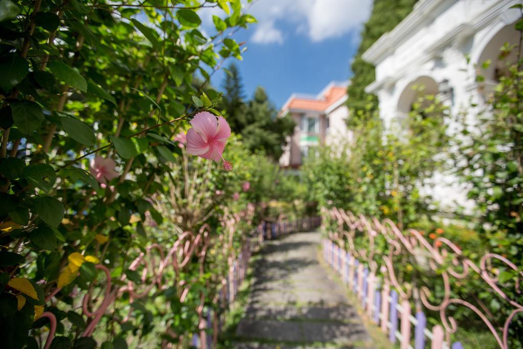 Chateau De Olliere Puli Ngoại thất bức ảnh